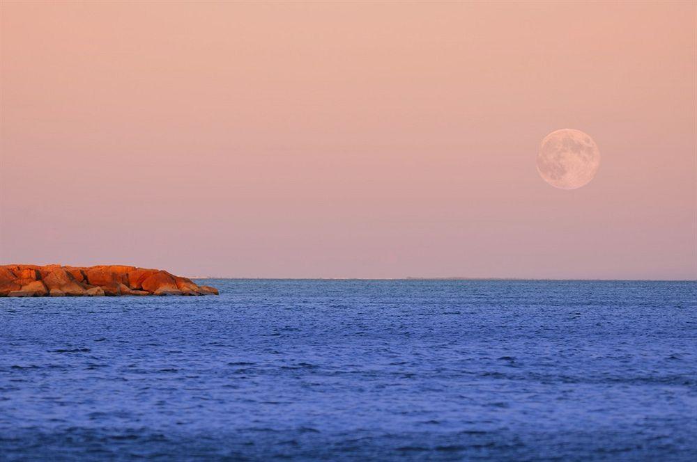 Residence De Tourisme L'Albatros Palavas-les-Flots Exteriér fotografie